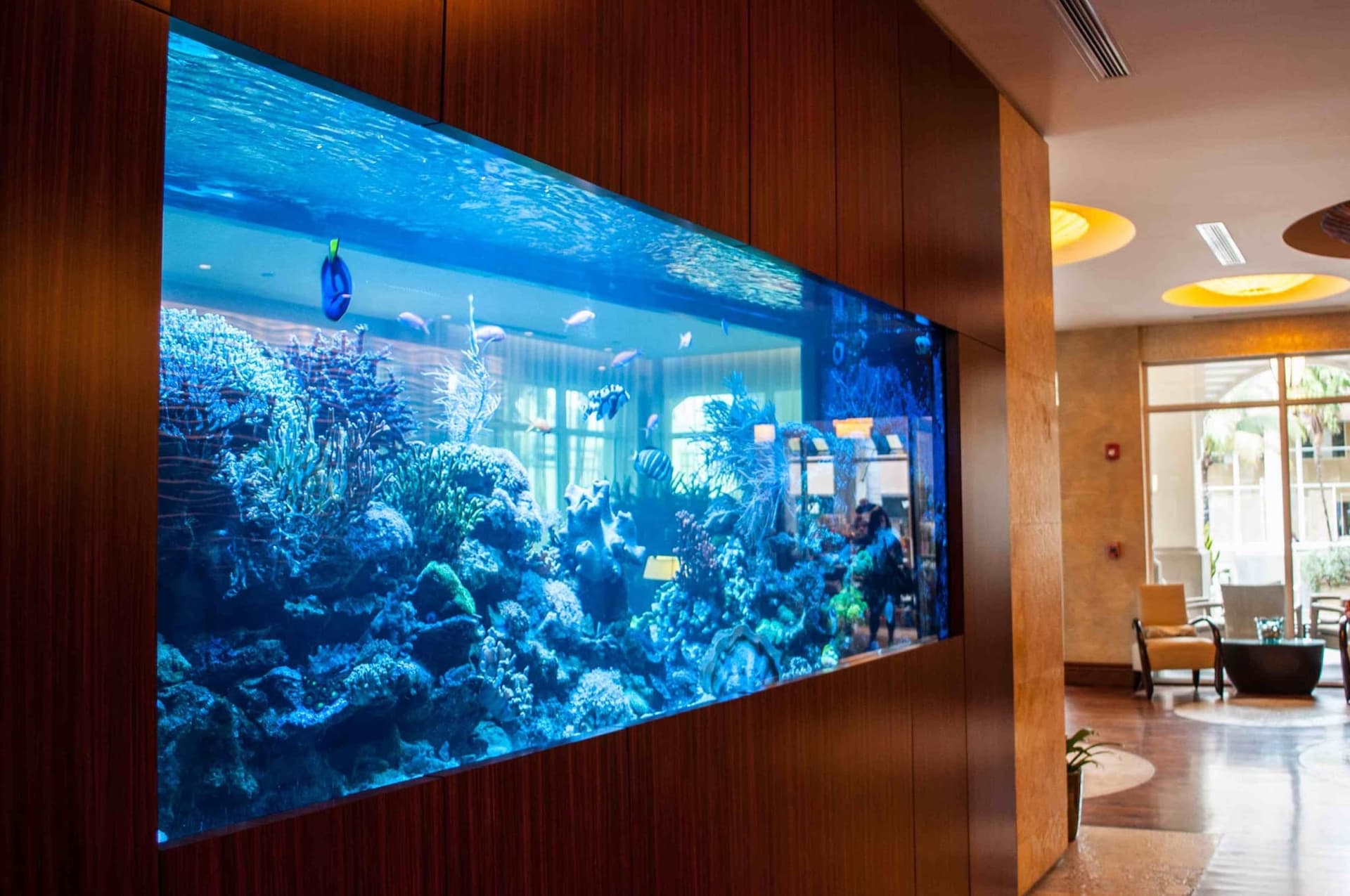 A wall-mounted saltwater reef aquarium with live coral and tangs, built into the wood paneling of a Palm Beach County lobby and serviced by Jason's Aquarium Service